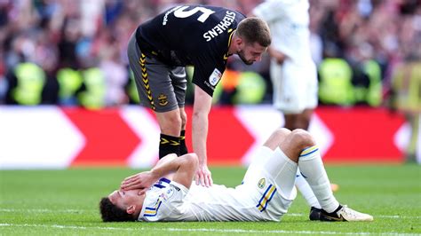 Southampton beat Leeds to seal promotion to the Premier .